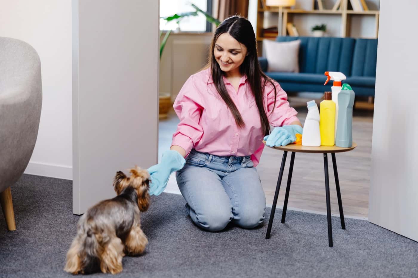 Pet-Friendly Eco Cleaning: Keeping Your Home Safe for Furry Family Members